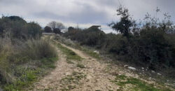 Land for Sale Monsef Jbeil Area 6545Sqm