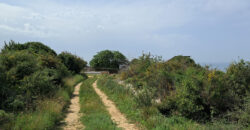 Land for Sale Monsef Jbeil Area 6545Sqm