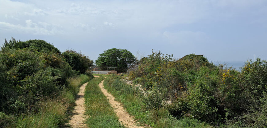Land for Sale Monsef Jbeil Area 6545Sqm