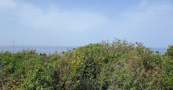 Land for Sale Monsef Jbeil Area 6545Sqm