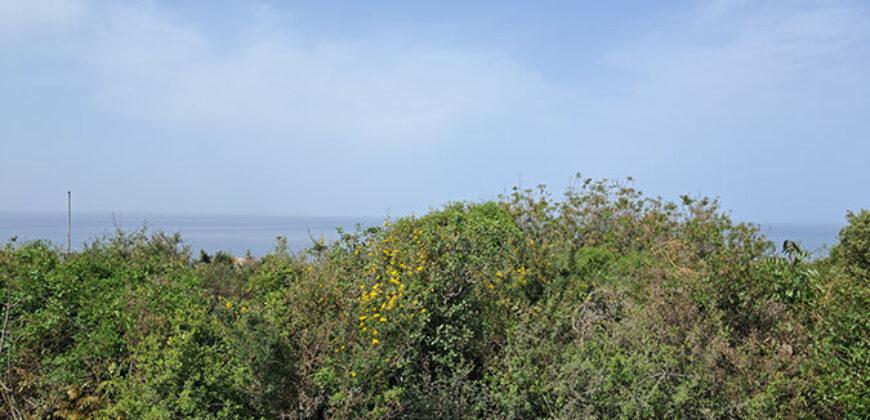 Land for Sale Monsef Jbeil Area 6545Sqm