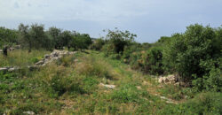 Land for Sale Monsef Jbeil Area 6545Sqm
