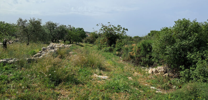 Land for Sale Monsef Jbeil Area 6545Sqm