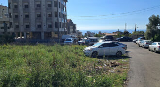 Land for Sale Blat Jbeil Area 730Sqm