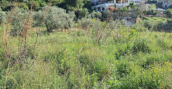 Land for Sale Blat Jbeil Area 730Sqm