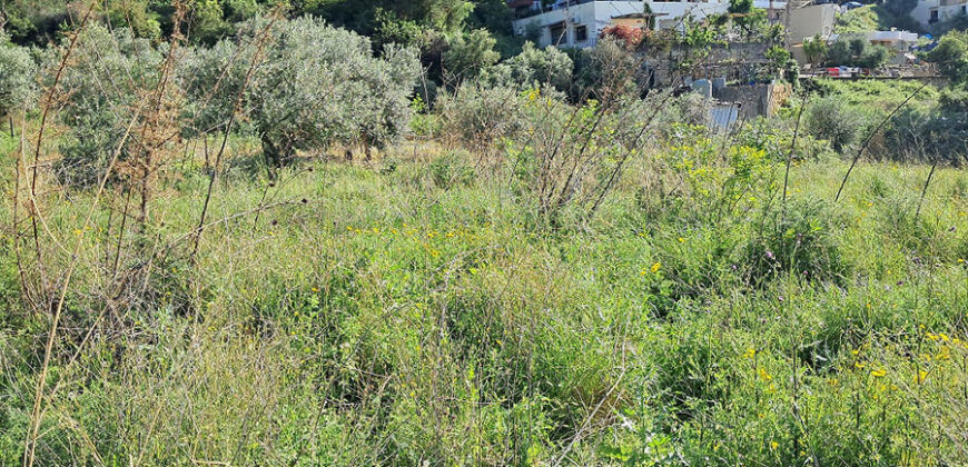 Land for Sale Blat Jbeil Area 730Sqm