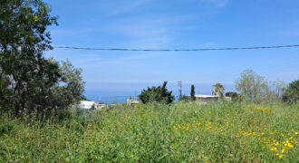 Land for Sale Edde Jbeil Area 1006Sqm