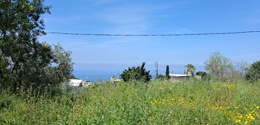 Land for Sale Edde Jbeil Area 1006Sqm