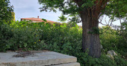 Land for Sale Edde Jbeil Area 1006Sqm