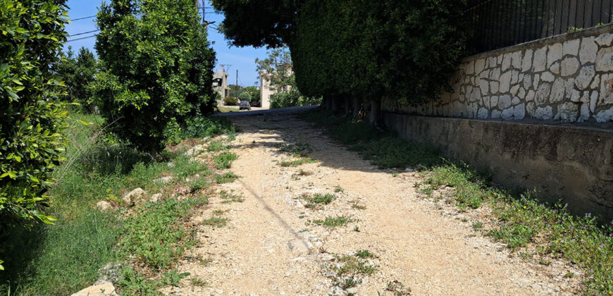 Land for Sale Edde Jbeil Area 1006Sqm