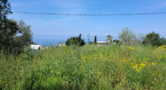 Land for Sale Edde Jbeil Area 1000Sqm