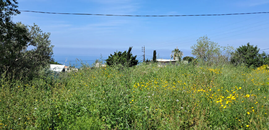 Land for Sale Edde Jbeil Area 1000Sqm