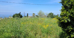 Land for Sale Edde Jbeil Area 1000Sqm