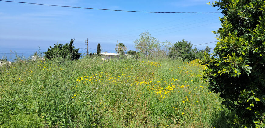 Land for Sale Edde Jbeil Area 1000Sqm