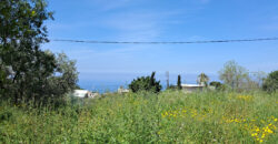 Land for Sale Edde Jbeil Area 1000Sqm