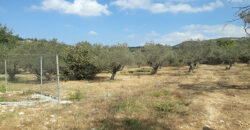 Land for Sale Ain Kfaa Jbeil Area 1259Sqm