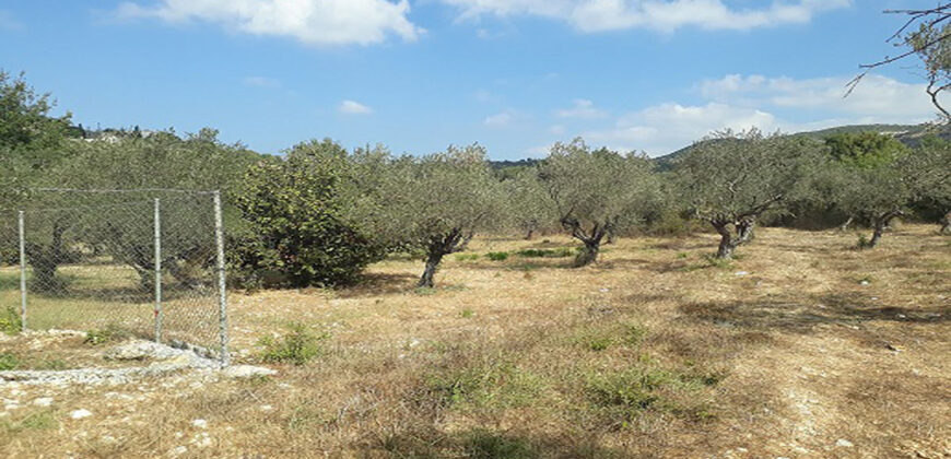 Land for Sale Ain Kfaa Jbeil Area 1259Sqm