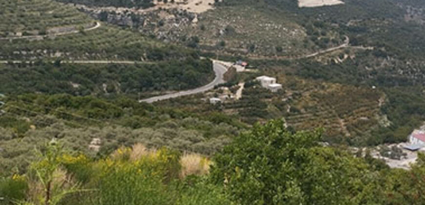 Land for Sale Kour Batroun Area 3606Sqm