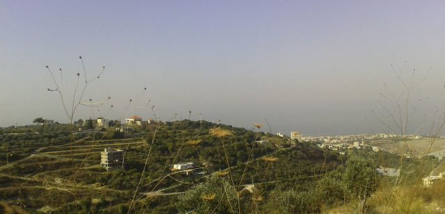 Land for Sale Bentael Jbeil Area 2980Sqm
