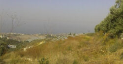Land for Sale Bentael Jbeil Area 2980Sqm