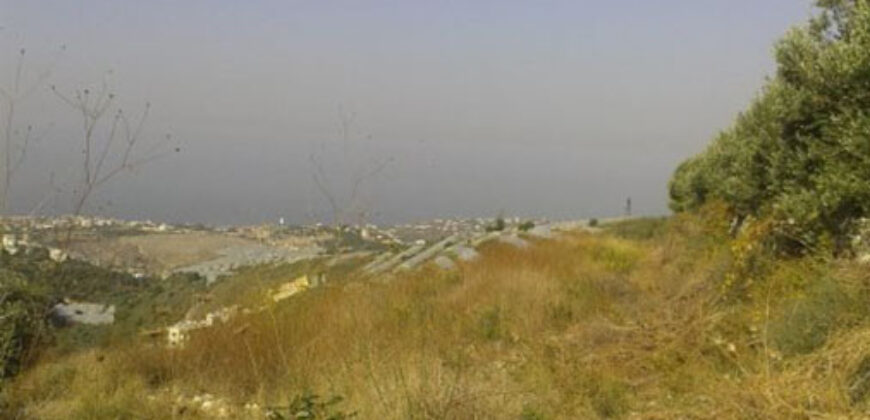 Land for Sale Bentael Jbeil Area 2980Sqm