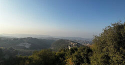 Land for Sale Halta Batroun Area 14429Sqm