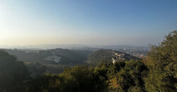 Land for Sale Halta Batroun Area 14429Sqm