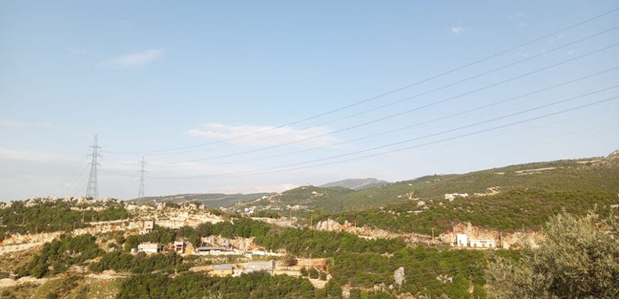 Land for Sale Halta Batroun Area 661Sqm