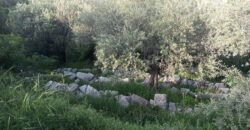 Land for Sale Halta Batroun Area 661Sqm