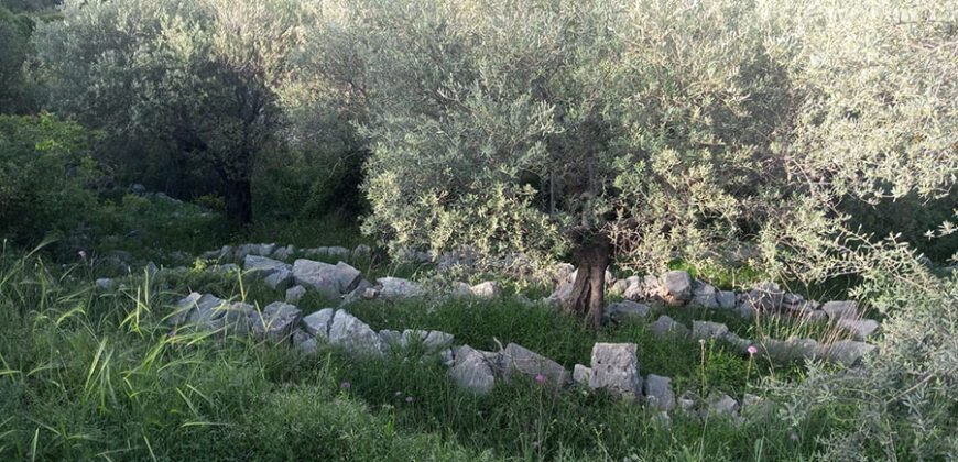Land for Sale Halta Batroun Area 661Sqm