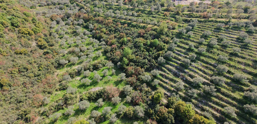 Land for Sale Ain Kfaa Jbeil Area 6534Sqm