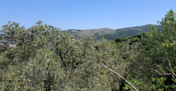 Land for Sale Ain Kfaa Jbeil Area 6534Sqm