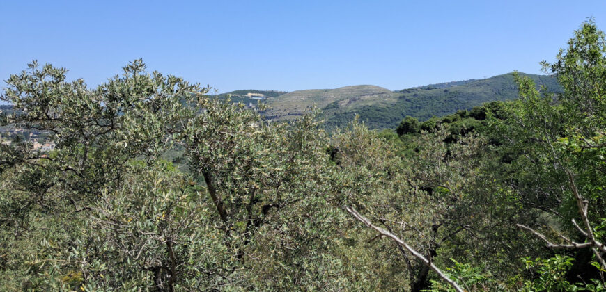 Land for Sale Ain Kfaa Jbeil Area 6534Sqm