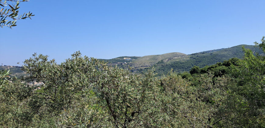 Land for Sale Ain Kfaa Jbeil Area 6534Sqm