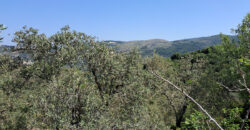 Land for Sale Ain Kfaa Jbeil Area 6534Sqm