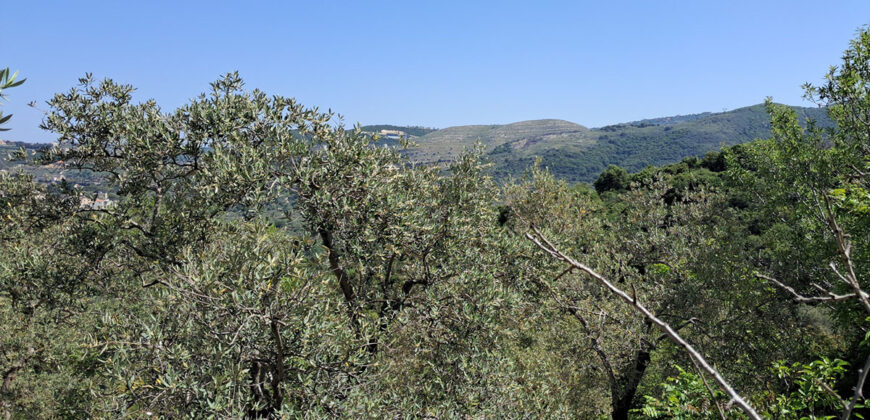 Land for Sale Ain Kfaa Jbeil Area 6534Sqm