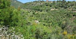 Land for Sale Ain Kfaa Jbeil Area 12500Sqm