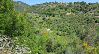 Land for Sale Ain Kfaa Jbeil Area 12500Sqm