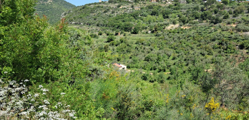 Land for Sale Ain Kfaa Jbeil Area 12500Sqm