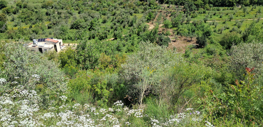 Land for Sale Ain Kfaa Jbeil Area 12500Sqm