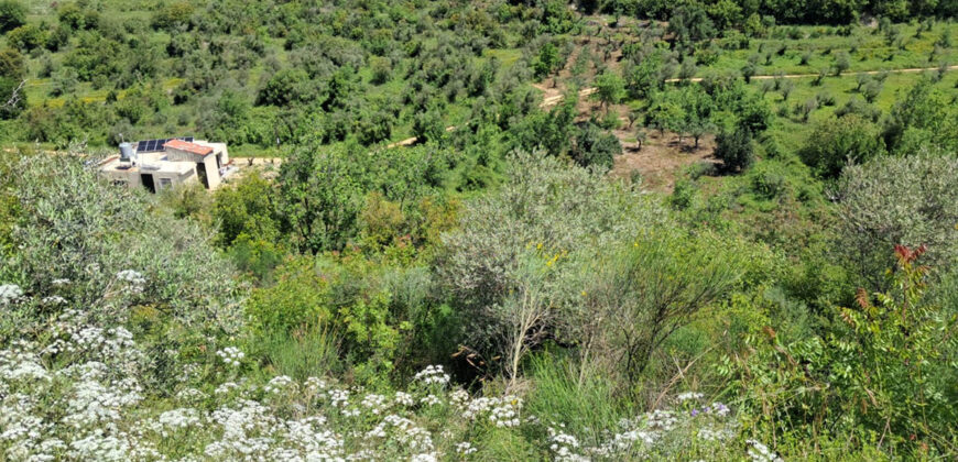 Land for Sale Ain Kfaa Jbeil Area 12500Sqm