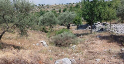 Land for Sale Kharbeh Jbeil Area 1789Sqm
