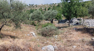 Land for Sale Kharbeh Jbeil Area 1789Sqm