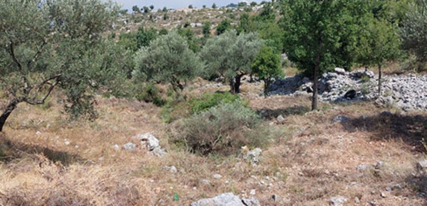Land for Sale Kharbeh Jbeil Area 1789Sqm