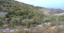 Land for Sale Kharbeh Jbeil Area 1789Sqm