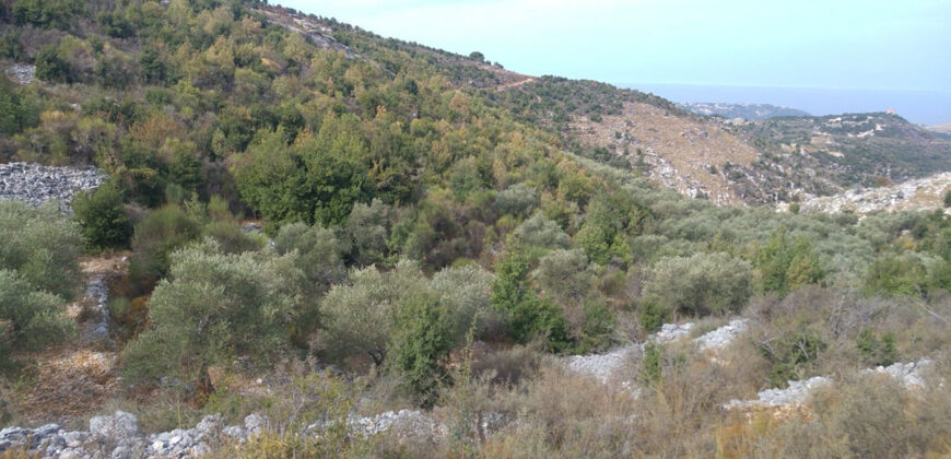 Land for Sale Kharbeh Jbeil Area 1789Sqm
