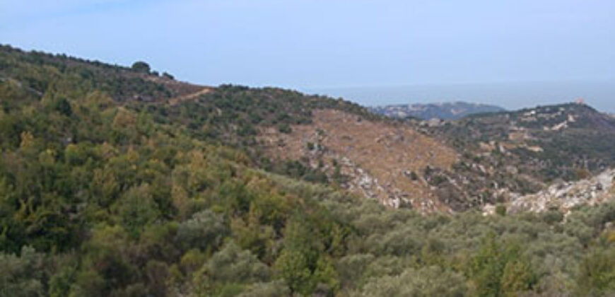 Land for Sale Kharbeh Jbeil Area 1789Sqm