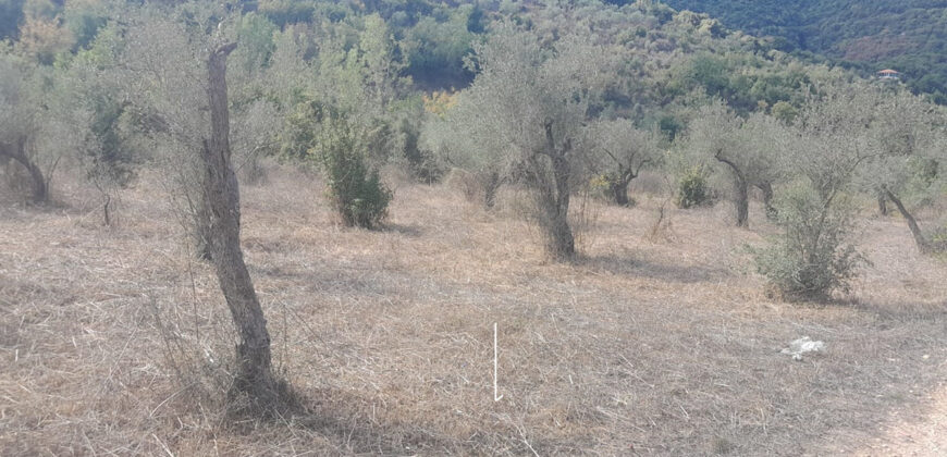 Land for Sale Ain Kfaa Jbeil Area 7137Sqm