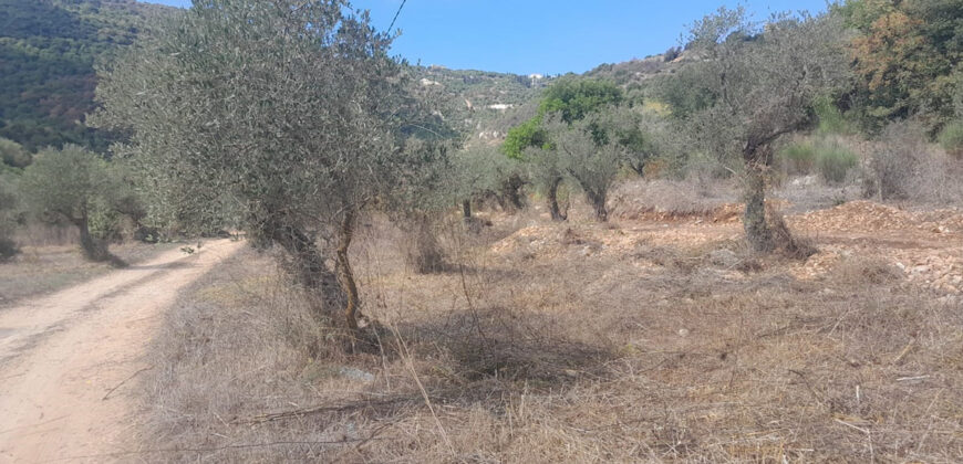 Land for Sale Ain Kfaa Jbeil Area 7137Sqm