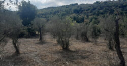 Land for Sale Ain Kfaa Jbeil Area 7137Sqm